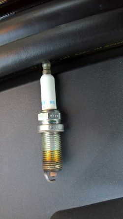 NGK.jpg