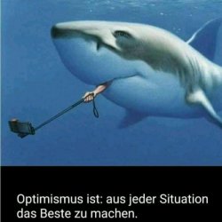 D636AF24-0DC0-4AE6-9B15-6ED9FA5BE126.jpeg