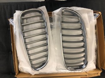 IMG_5937.jpg IMG_5937.jpg