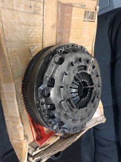 IMG_5965.jpg IMG_5965.jpg