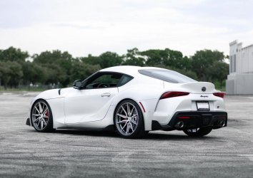Supra21.jpg