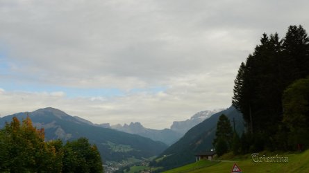 DSC02438.JPG