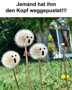 1Unbenannt.JPG