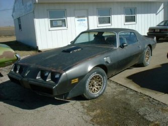 Trans am 1_klein.JPG