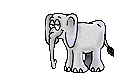 Elefant 1.gif