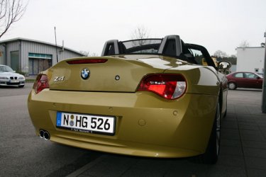 Zetti3.jpg