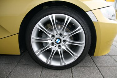 Zetti4.jpg