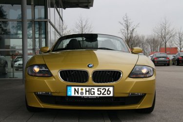 Zetti6.jpg