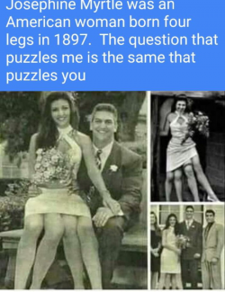 1570435912626.png