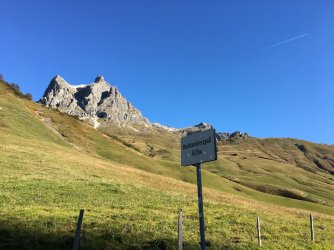 IMG_3706_klein.jpg