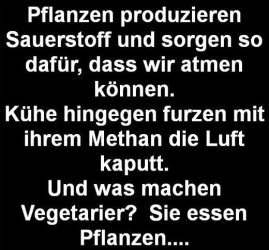 2Unbenannt.JPG