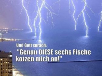 83A14004-1082-4AE3-9879-32D579A3FB37.jpeg
