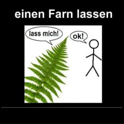 Farn .jpg