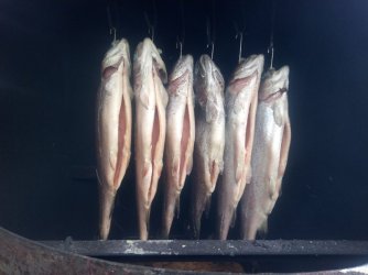IMG-20191011-WA0007.jpg IMG-20191011-WA0007.jpg