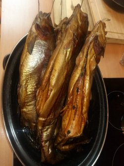 IMG-20191011-WA0022.jpg