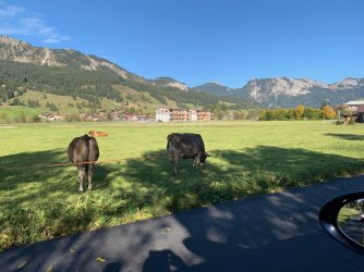 IMG_1654.JPG