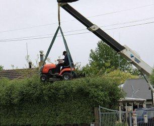 hecke 1270420052.jpg