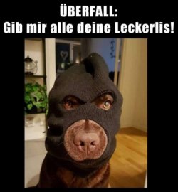 tUnbenannt.JPG