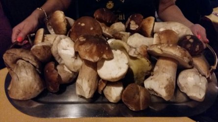 2019-10-18 19.50.37.jpg