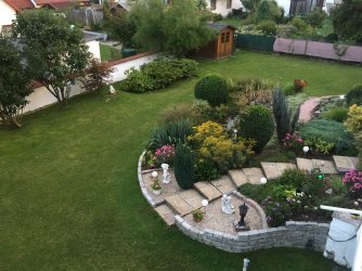 2017-08-03 20.36.18.jpg