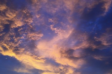 7DCFF446-514D-499D-894A-94AF9E735640.jpeg