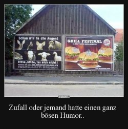 6E441E63-D306-4B9D-9FF2-D96DDE5253FD.jpeg