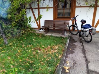 Kater in Frickenhausen....jpg Kater in Frickenhausen....jpg