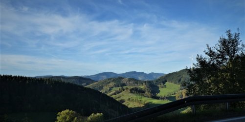 P1000701 (2).JPG