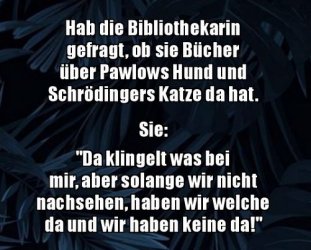 11Unbenannt.JPG
