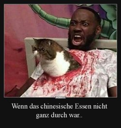 606B63D6-5ED9-431B-AE8C-9168BD86ED82.jpeg
