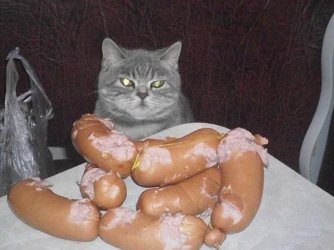 Ich.jpg