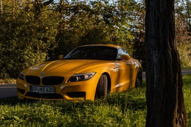 Z4 Borbet XRT WR im Wald-3.jpg