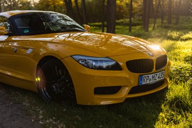 Z4 Borbet XRT WR im Wald.jpg