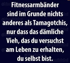 5Unbenannt.JPG