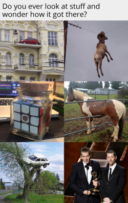 A7EA6662-6FAB-4C8E-8A87-A05DA4ABB84F.png