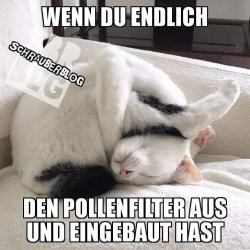 FB_IMG_1573088301029.jpg