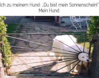tUnbenannt.JPG