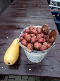 IMG-20191112-WA0003.jpg
