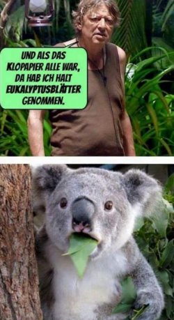 1Unbenannt.JPG