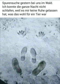 F8958B06-8BDB-4301-BFC8-C5F35A468E5C.jpeg