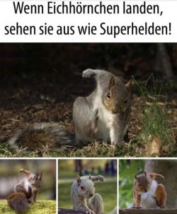 tUnbenannt.JPG