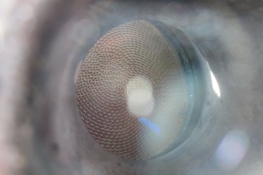 IMG_2671 - Kopie.JPG