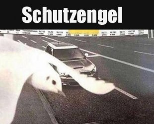 9Unbenannt.JPG
