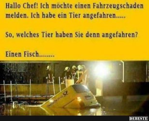 26D89831-D487-4597-944B-5F22D33F1FC3.jpeg