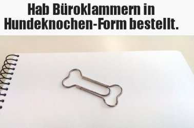 4Unbenannt.JPG