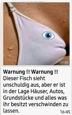 6A3FB7CC-CF10-4071-A9F0-FE708BC24FED.jpeg