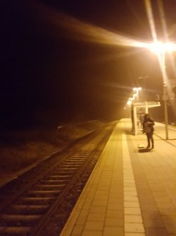 20191122_061648.jpg
