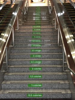 30E7163B-357C-42FD-B1E2-0CDF233D3639.jpeg