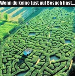 6Unbenannt.JPG