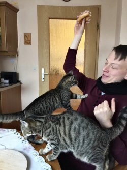 12F9C32E-F8B0-46B0-AD08-5FEC789F1E71.jpeg